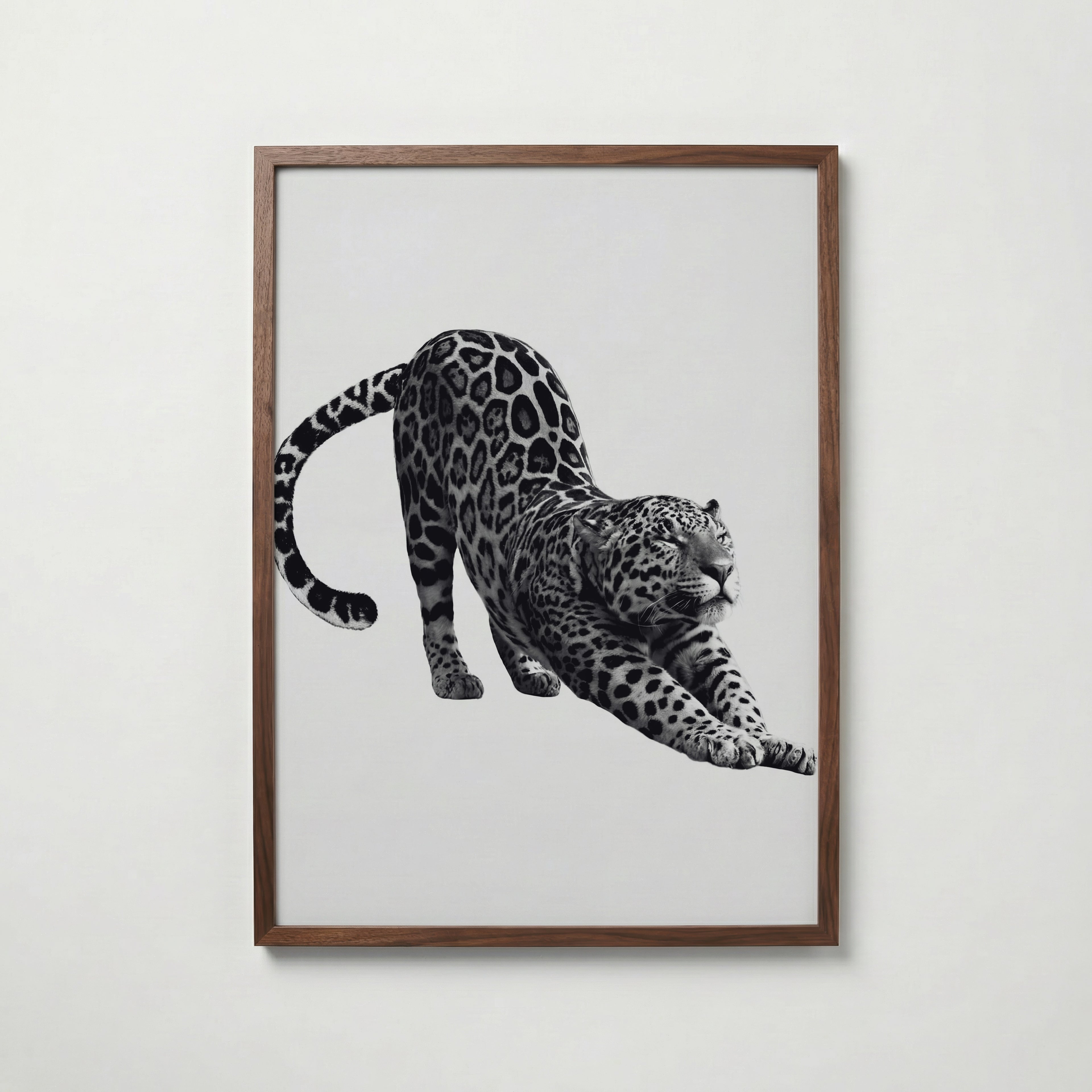 Stretching Leopard Poster – valnötsram