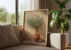 Potted olive tree poster