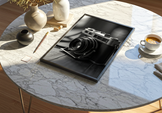 Old School Camera Poster